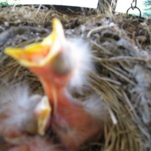 Meet your Posher, Marilynne